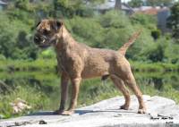 click here to enlarge