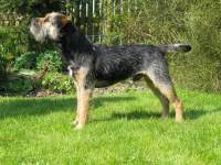 click here to enlarge