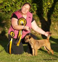 click here to enlarge