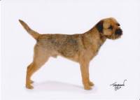 click here to enlarge