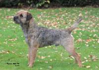 click here to enlarge