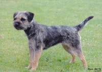 click here to enlarge