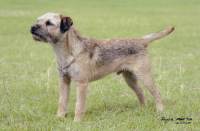 click here to enlarge