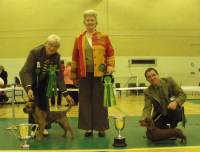 click here to enlarge