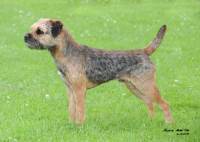 click here to enlarge