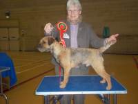 click here to enlarge