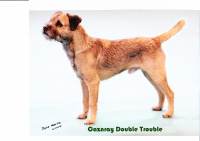 click here to enlarge