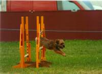 click here to enlarge