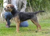 click here to enlarge