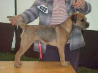 click here to enlarge