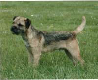 click here to enlarge