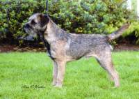 click here to enlarge