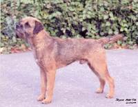 click here to enlarge