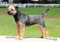 click here to enlarge