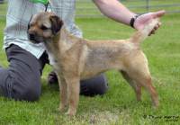 Click here to enlarge