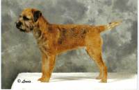 Click here to enlarge