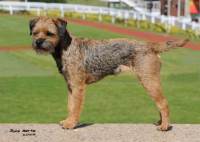 click here to enlarge