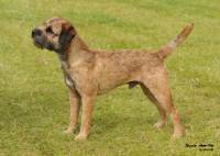 click here to enlarge