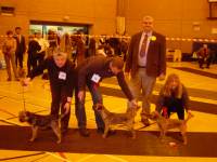 click here to enlarge