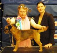 click here to enlarge