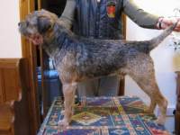 click here to enlarge