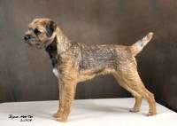 click here to enlarge